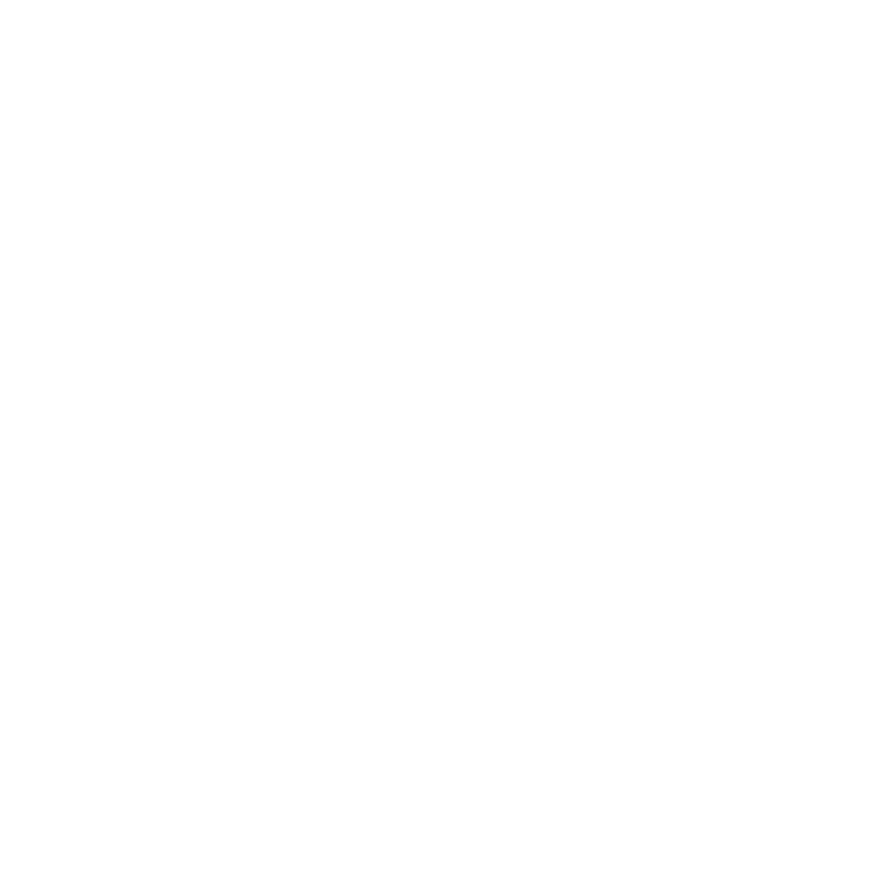  Logo weiß Schwimmschule Diana