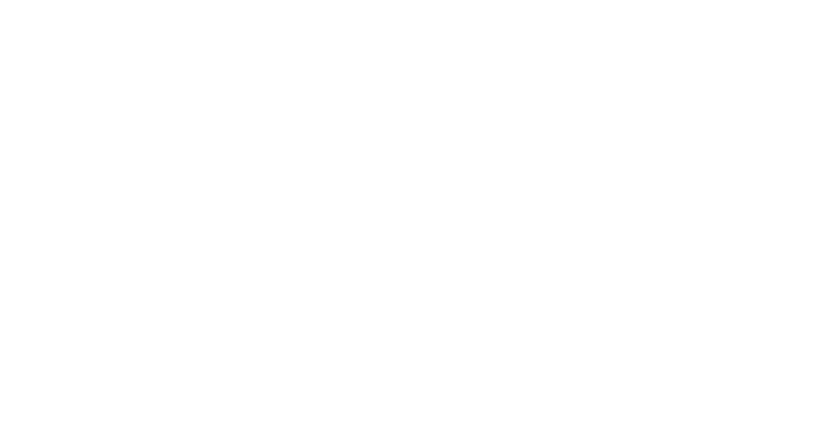 Schwimmschule Diana Logo weiß